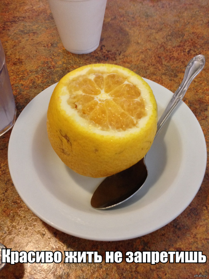 Красиво жить не запретишь