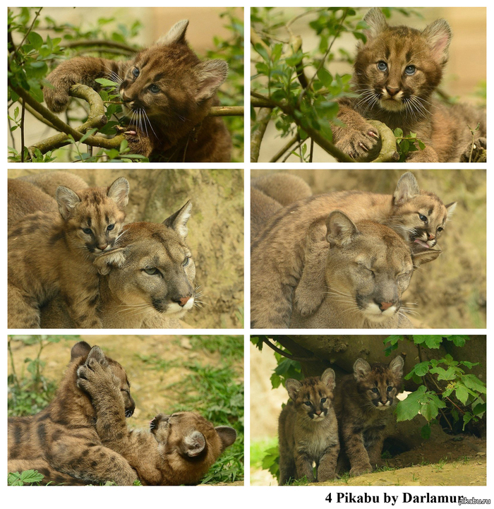 ���� ���� ����� ���� ������