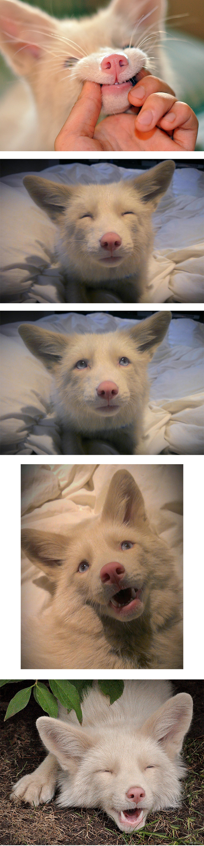  -    &quot; &quot;    &quot;  &quot;.