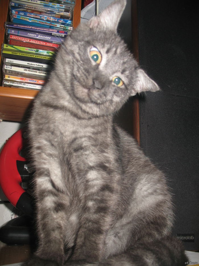 ���������� - ��� ����!� �� �� ����� �����������������