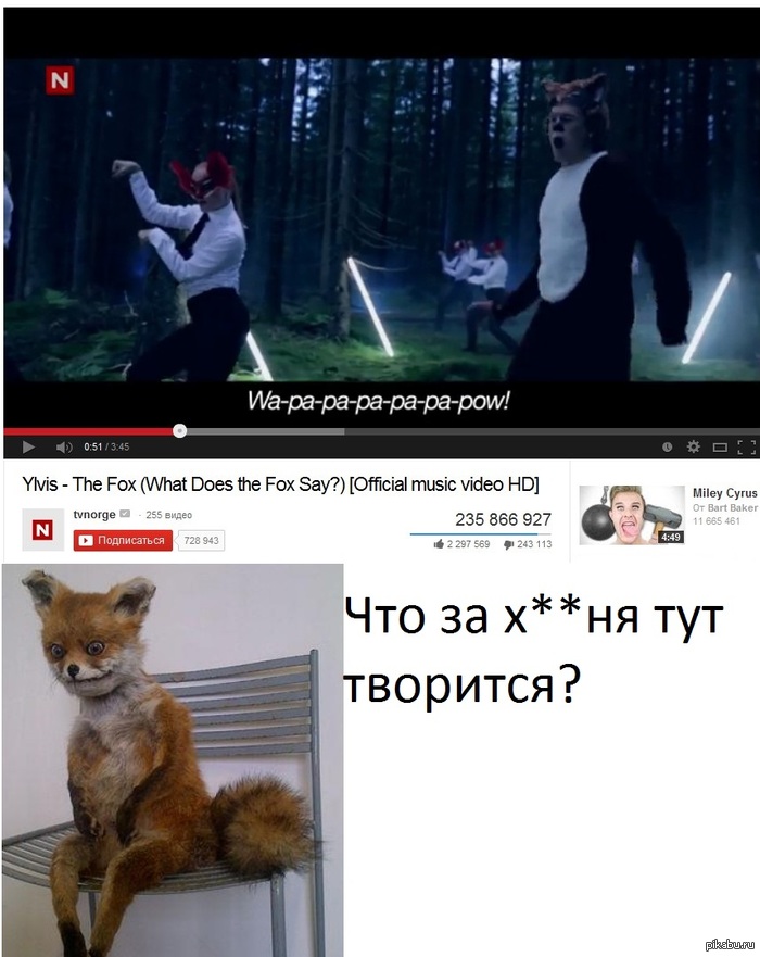 ���� �� ����, ��� � �������...