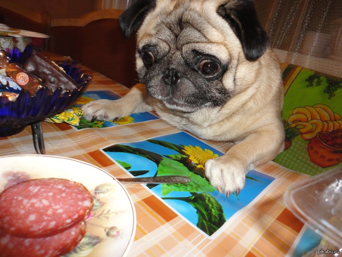 ����� ��������