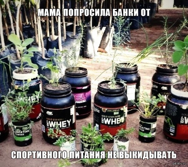 Who needs protein seedlings? - Humor, Plants, Mum, Protein