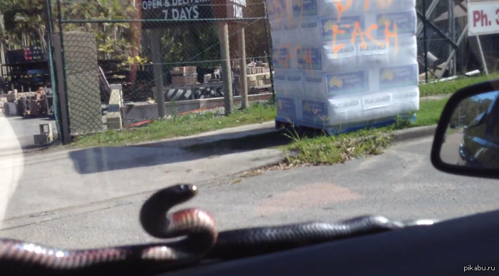 ���� �� ���������������� ���� � ���������