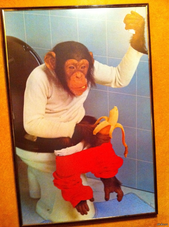 Картина в туалете. Болгария