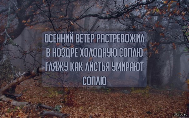 Что за прикол с ноябрем. Стих про осень прикол. Стихи про осенний прикол. Про ноябрь картинки с Цитатами. Осень холод цитаты.