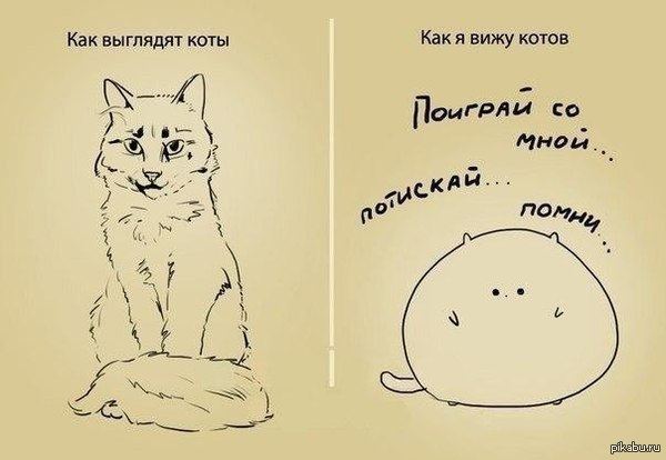 Будь как кот. Хочу быть котом. Будь как кот. Хочу кота. Есть люди которых как не фотографируй получаются хорошо.