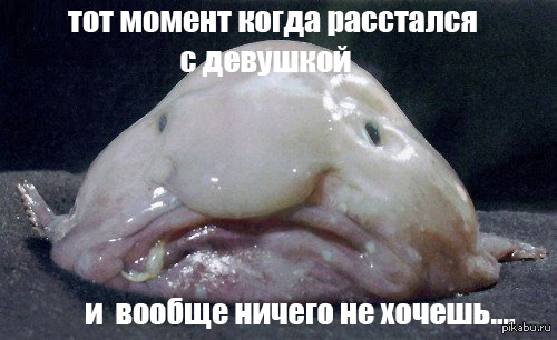 ... : 