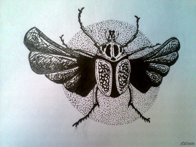 ��������� �������