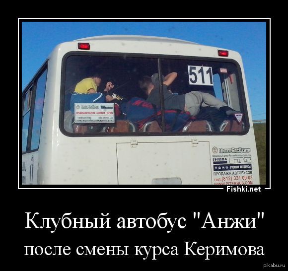 Про Анжи | Пикабу