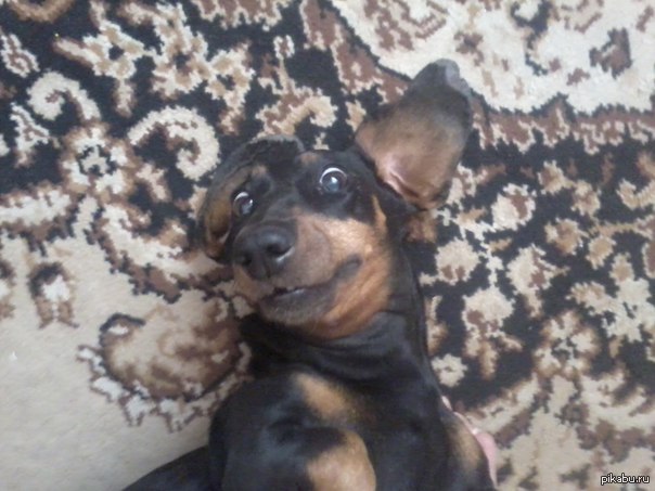 ���� ���� ������, ����� � ������� ����� � �������