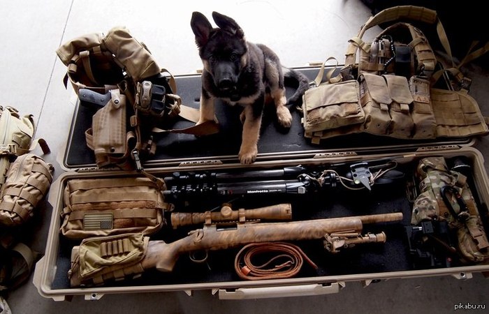 Подарочное издание Call of Duty: Ghosts