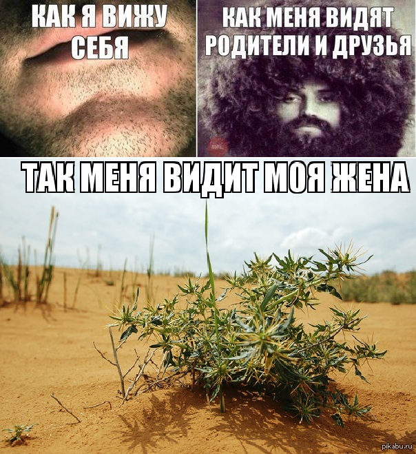     .   2   .
