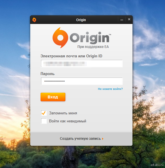 Origin password
