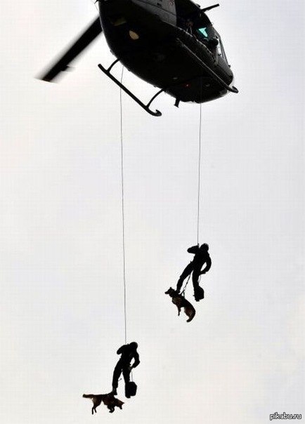 ��� ��� �������, ��� � ����� Call of Duty ����� ������-�������...