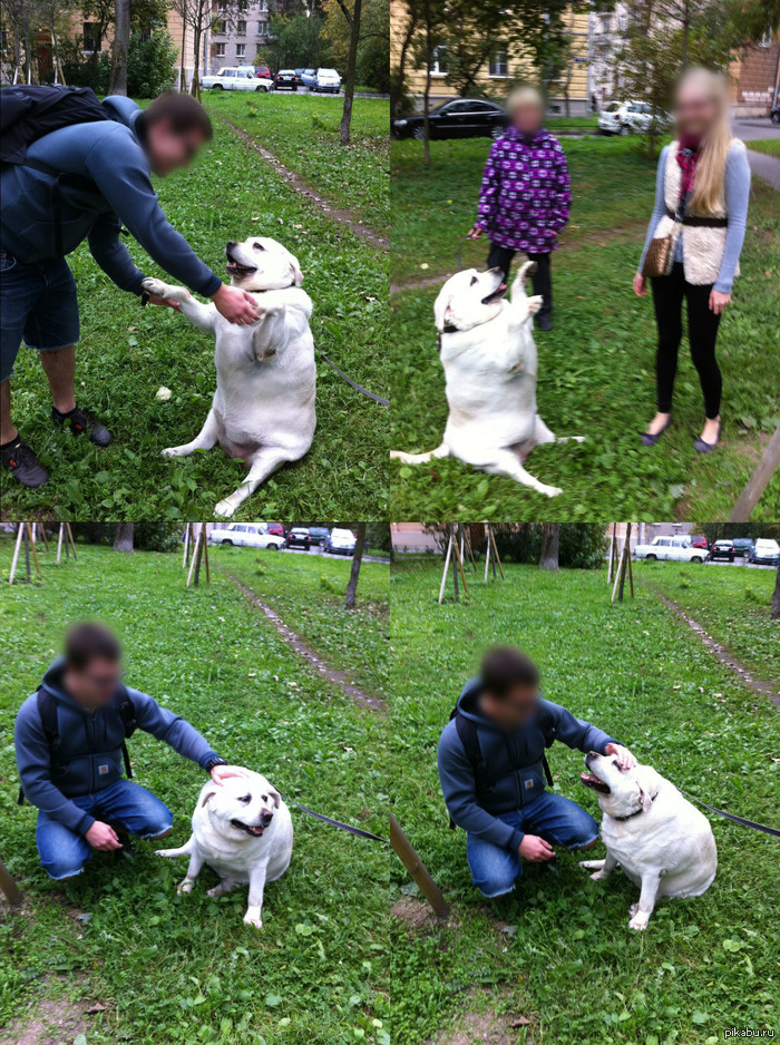 The most comfortable ass