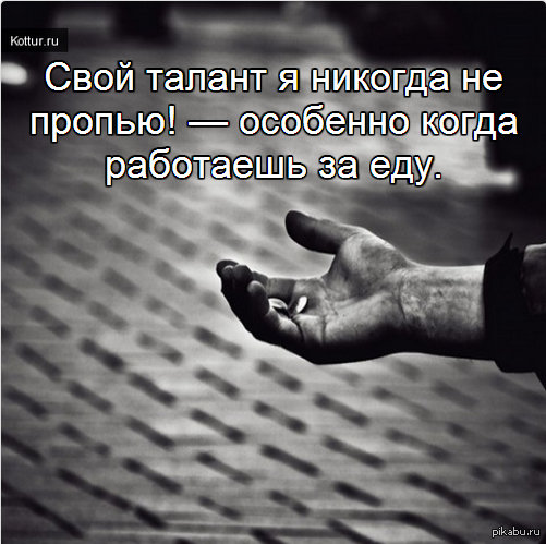 Талант | Пикабу