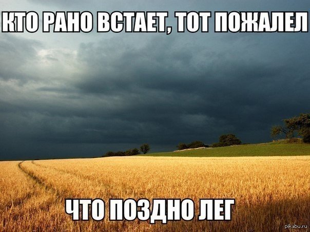   ...   ...