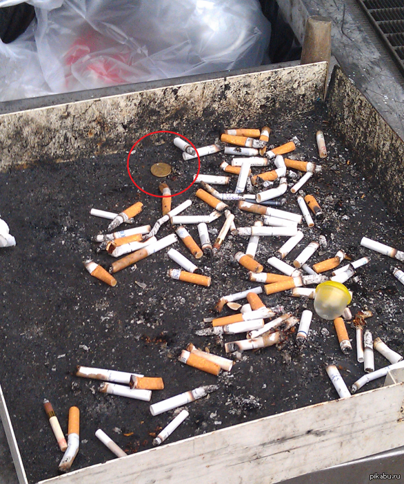 ����� �����, �������