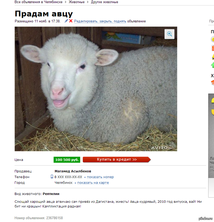 ����� ������!