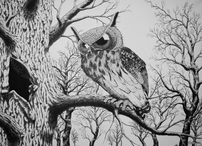 ��� ����. ����� ���)