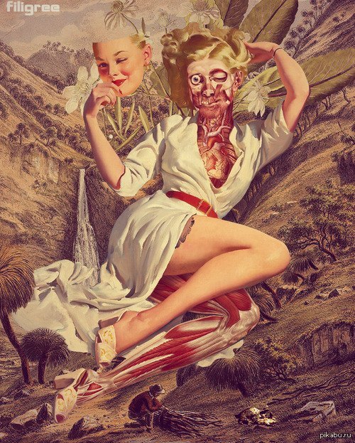 �� ���� �� ��������