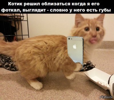  ,        <a href="http://pikabu.ru/story/gubki_bantikom_1723352">http://pikabu.ru/story/_1723352</a>