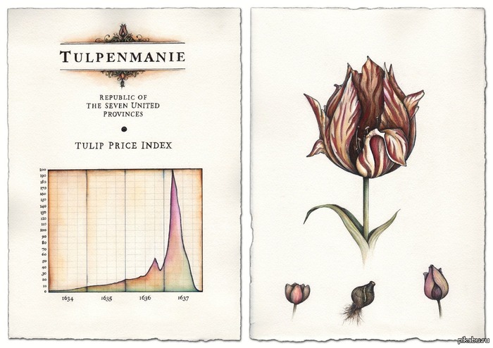 Тюльпаномания и биткоиномания