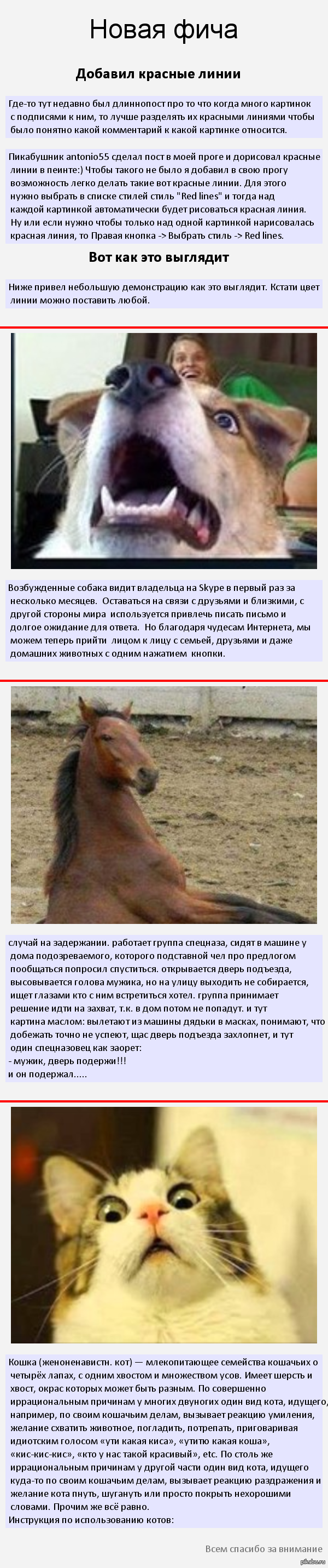 ��� �����������