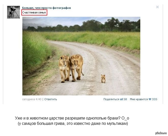 ��... � ����� ����?