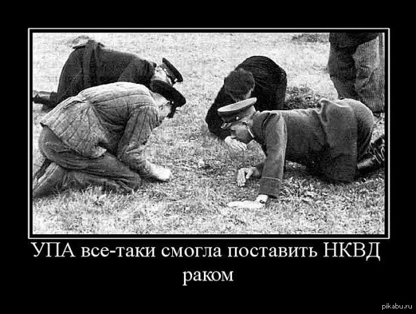 UPA and NKVD... - In contact with, , NKVD, Demotivator, Politics, Ukrainian Insurgent Army