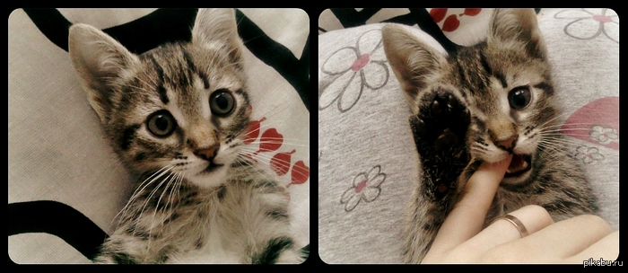 ��  ������ ����� � ����)