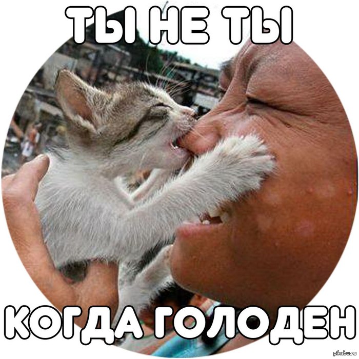 �� �� ��, ����� ������� "����"