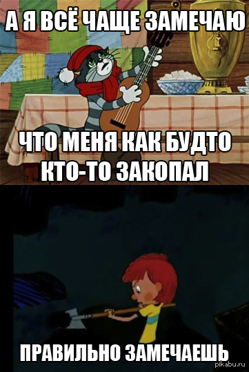 ���� Ը��� �������� � �� ����