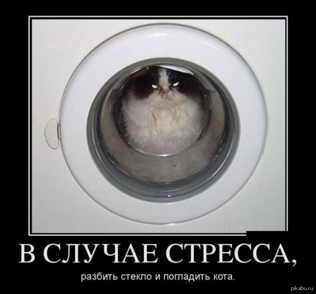 In case of stress... - cat, Stress, Demotivator