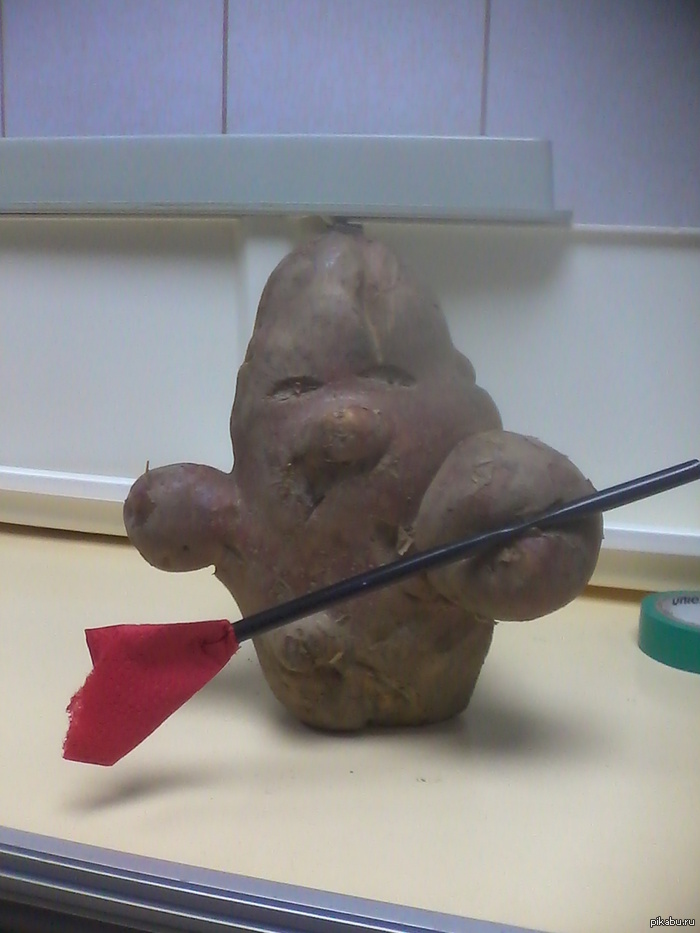 ��������