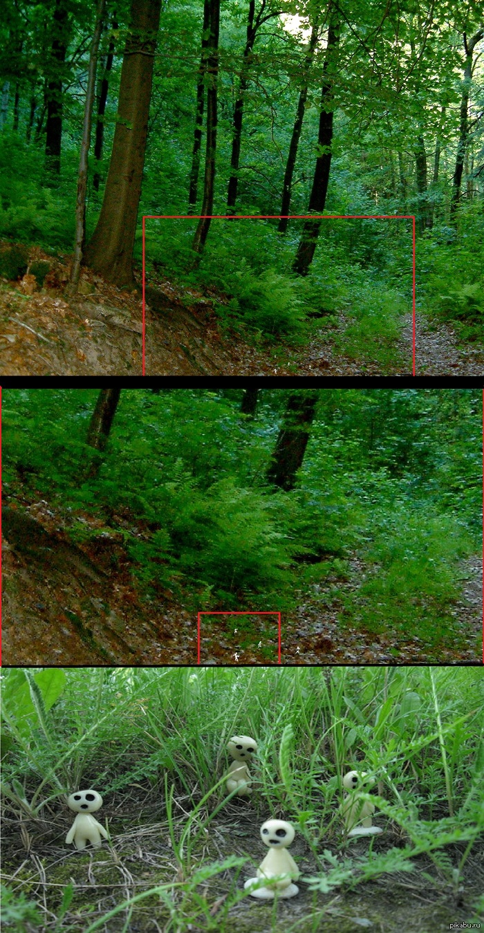 ���� ����