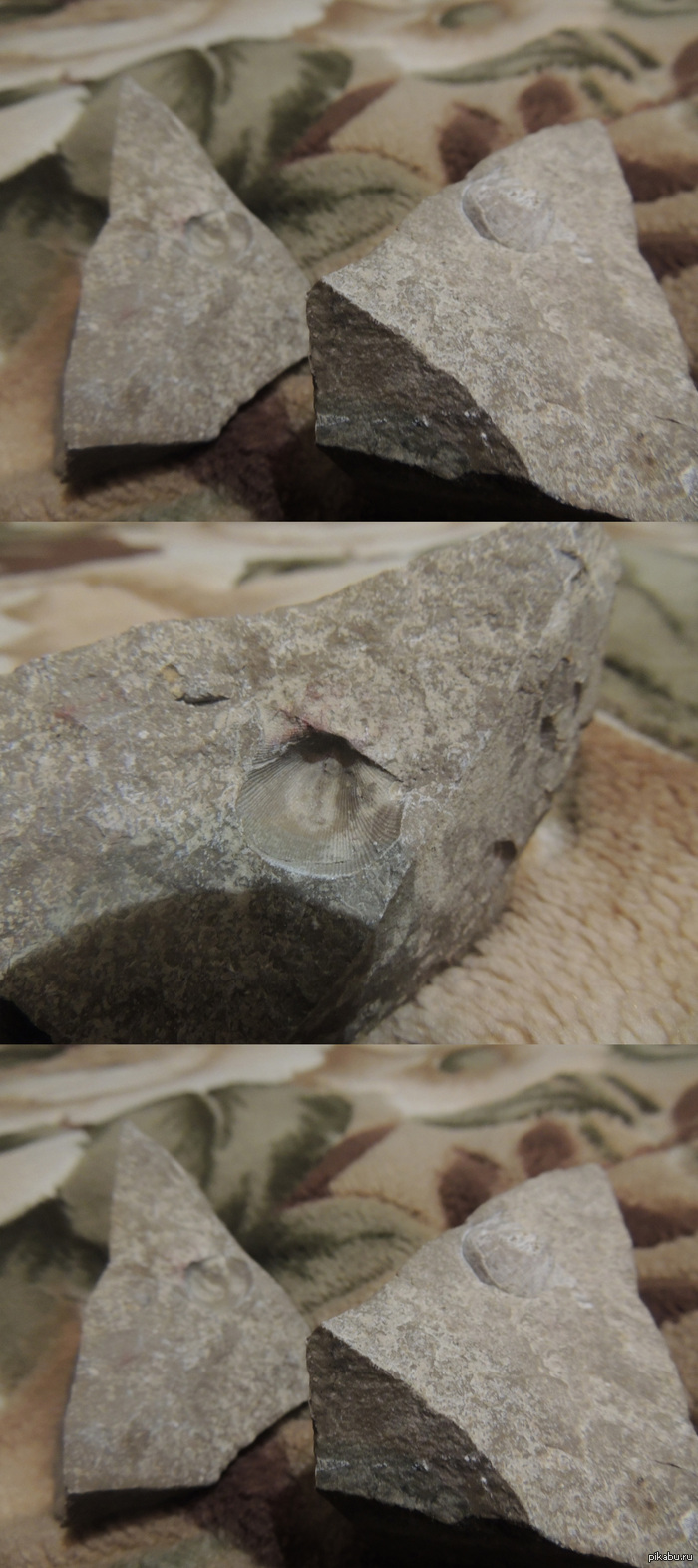 Нашел этот камушек около полугода назад , БЫЛ ПОРАЖЕН