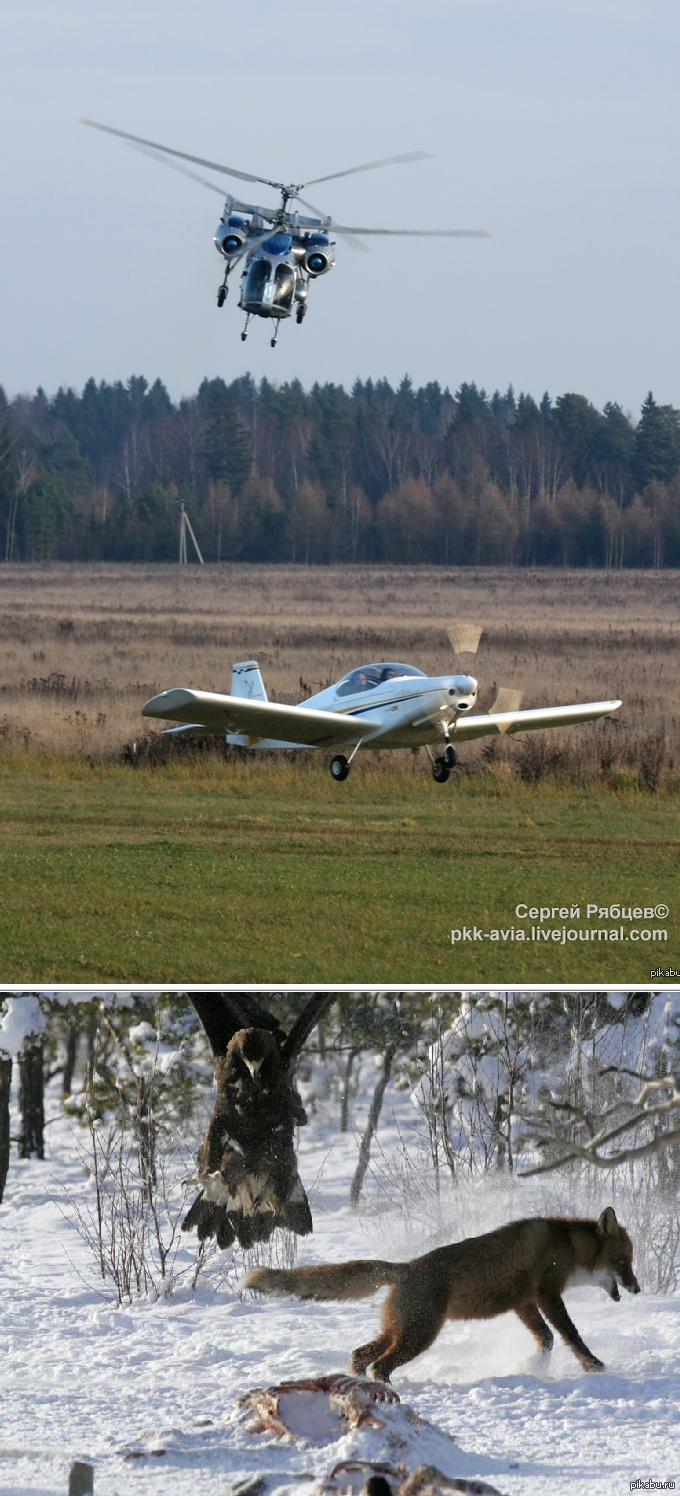 Ка-26 против Alpi Aviation Pioneer