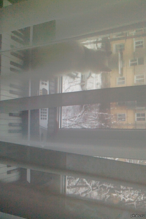 ��� ����� ���� ������ � ������ ���.