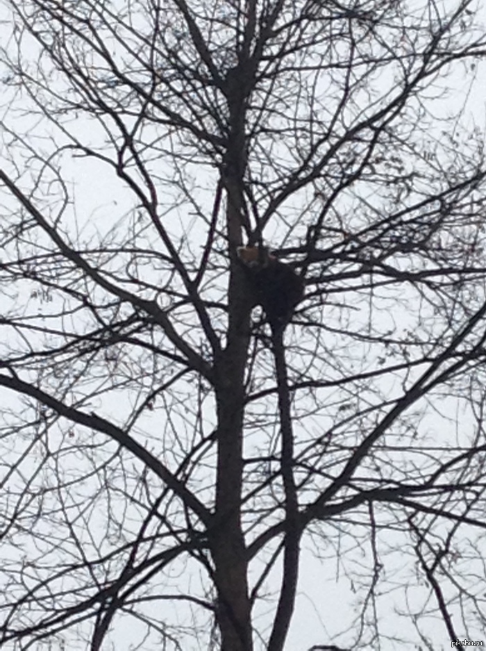 внезапно | Пикабу