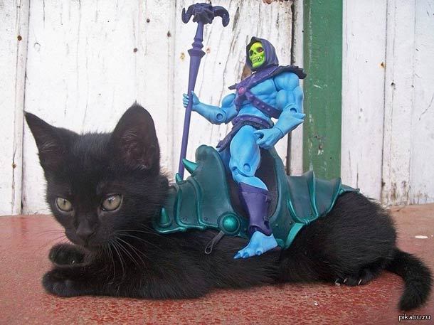 ������� ������������