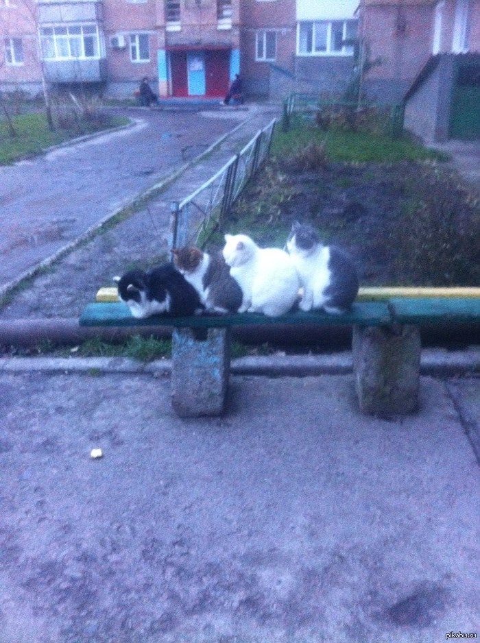 Так теплее =)