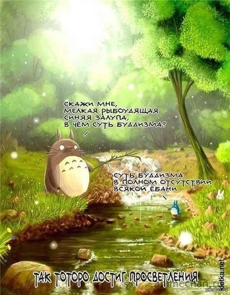 Тоторо достиг просвитленния