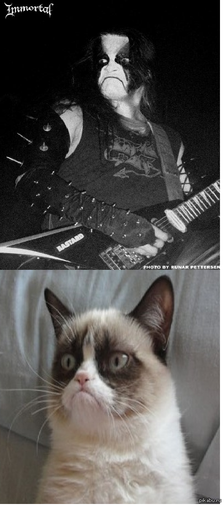 Странное сходство