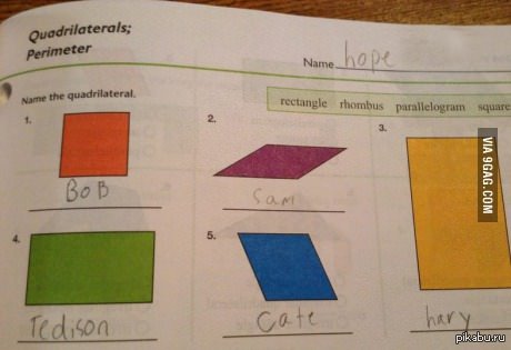 Name these quadrilateral