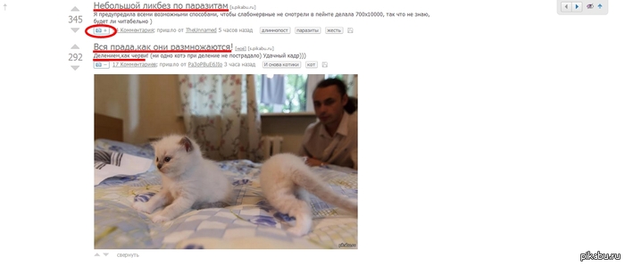 ������, �� ����� ���� �����, �������� :@