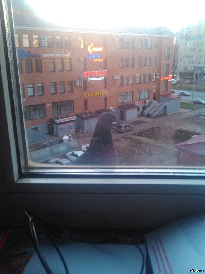 Эй, парень?..