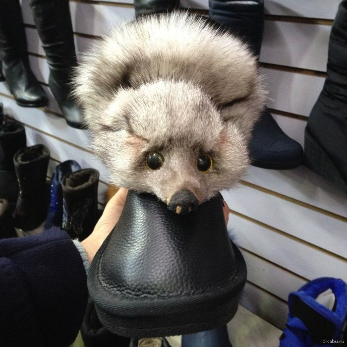 �������� �����)