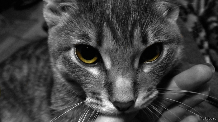 Мое фото на Lumia 1020